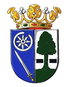 Wapen Heerenveen