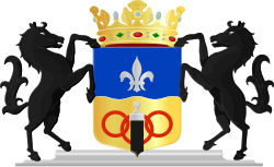 Wapen Dronten