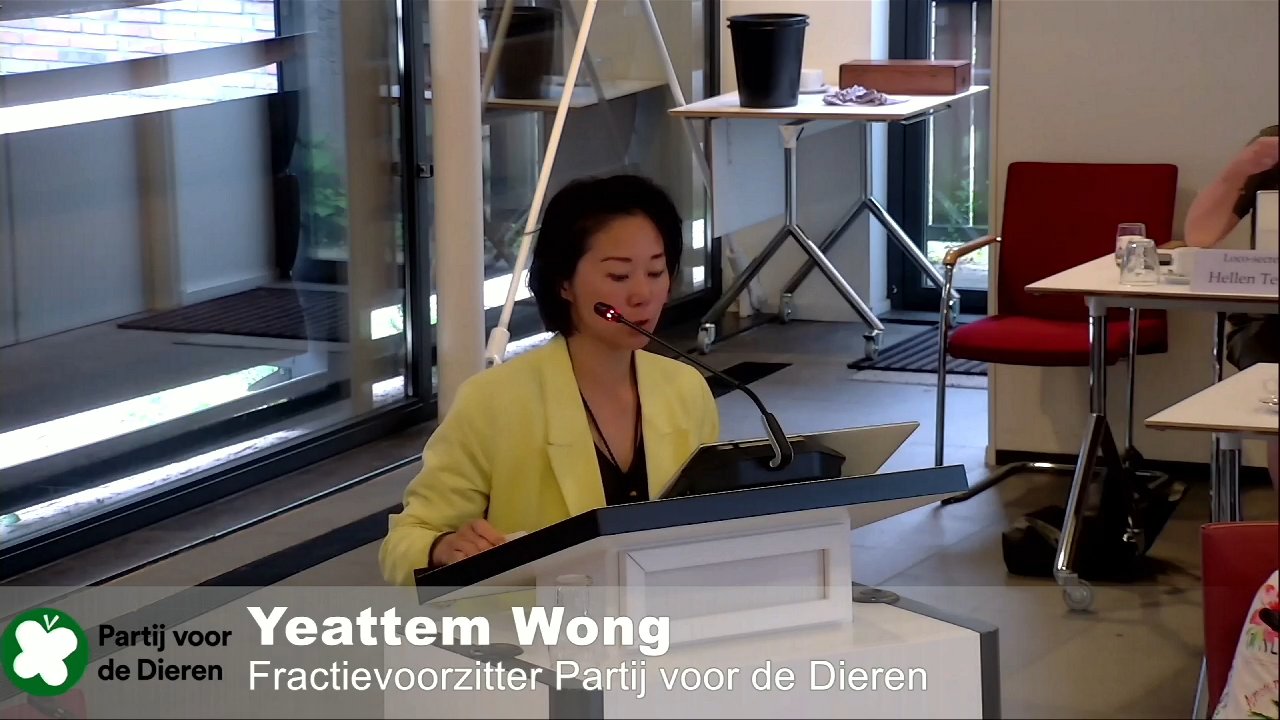 Beeld uit de opname van de raadsvergadering van Culemborg