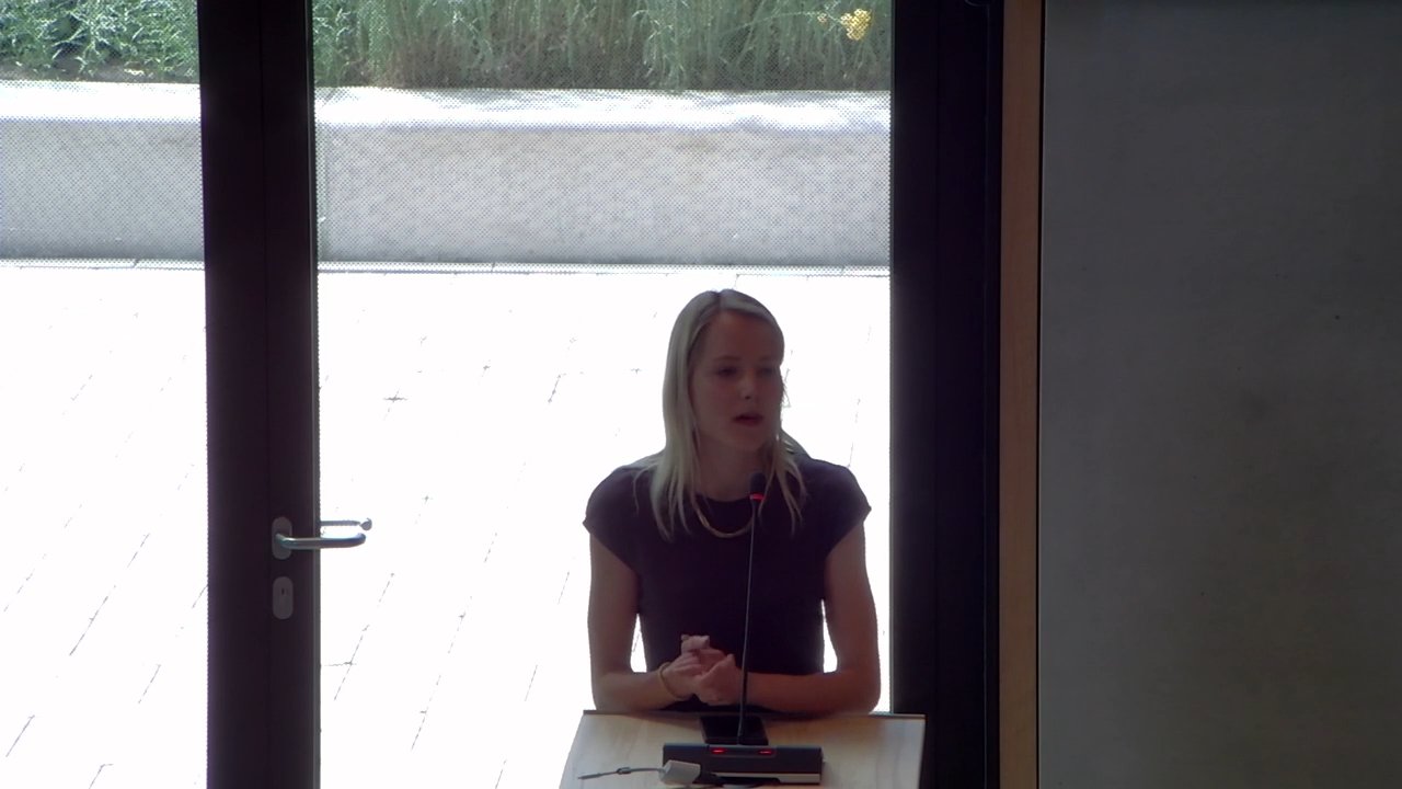 Beeld uit de opname van de raadsvergadering van Rheden