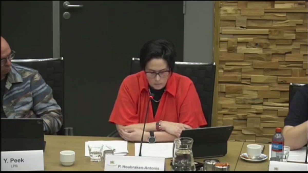 Beeld uit de opname van de commissie grondgebied zaken van Bergeijk