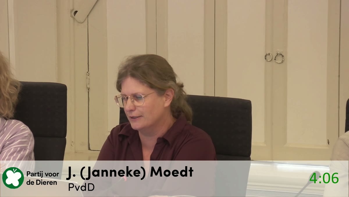 Beeld uit de opname van de commissie beheer van Haarlem